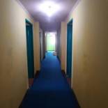 Фотография гостиницы OYO 1389 Hotel Carissima