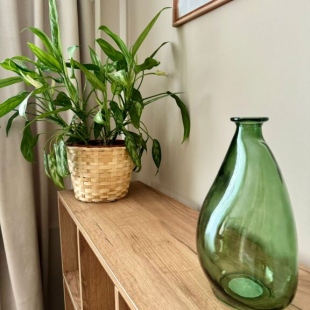 Фотография квартиры Квартира Зеленая