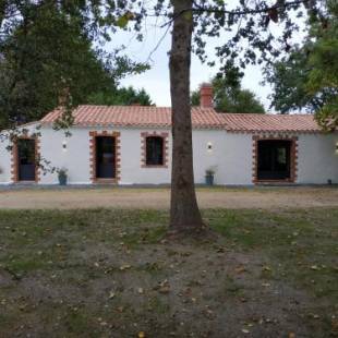 Фотографии гостевого дома
La Roseraie