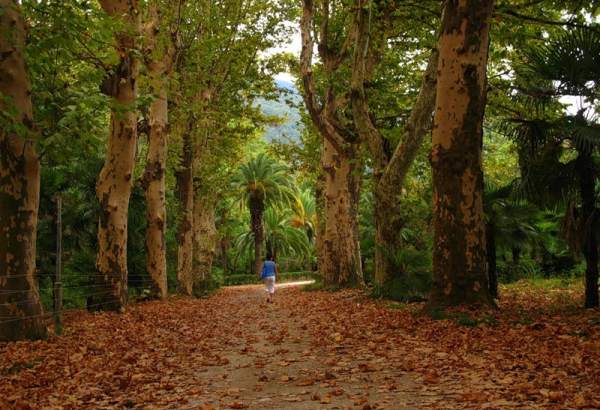 Фотография достопримечательности Парк Ольденбургского