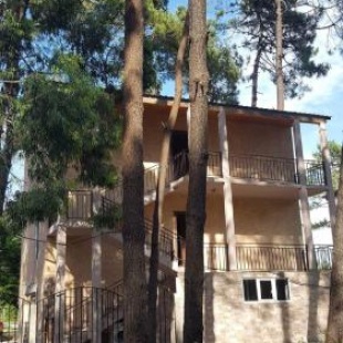 Фотография гостевого дома Philly