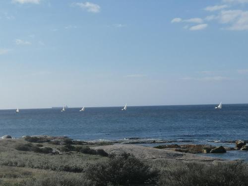 Фотография гостевого дома Forever Blue