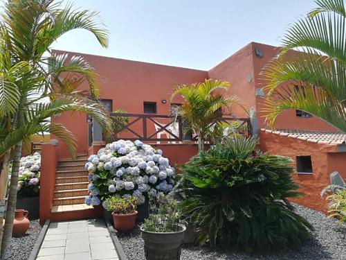 Фотография гостевого дома Finca Los Castaños