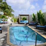Фотография гостиницы Dolphin Suites & Wellness Curacao