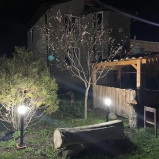 Фотография Коттеджа Частный дом трехместный в живописном уголке Шаурдат