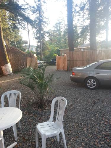 Фотография мини отеля Деревянные коттеджи