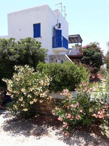 Фотография гостевого дома Village house in Paros