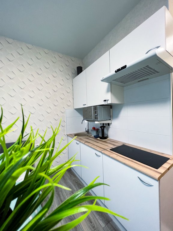 Фотография квартиры Апартаменты Николаева 23