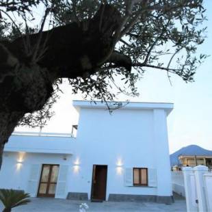 Фотографии гостевого дома
Home Olympus Vesuvio