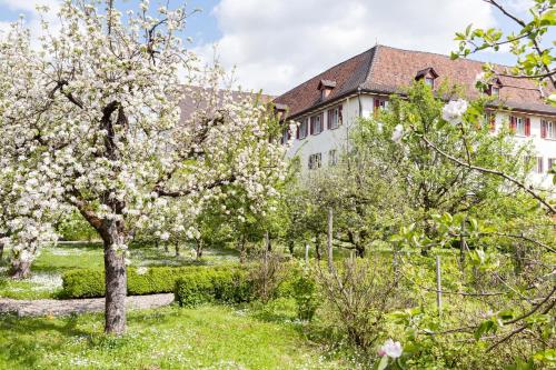 Фотографии гостевого дома 
            Kloster Dornach / Basel