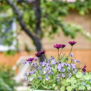 Фотографии гостевого дома
Kāpas