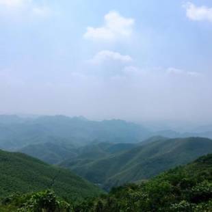 Фотографии мини отеля
Moganshan Bamboo View Guesthouse