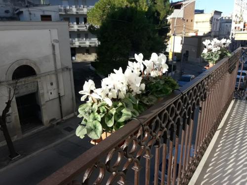 Фотография мини отеля B&B Saffi