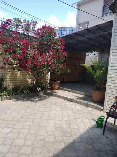 Фотография гостевого дома Нюмба