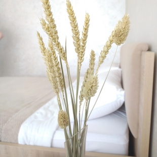 Фотография квартиры Апартаменты Четыре сезона