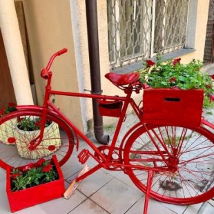 Фотография хостела Колесо