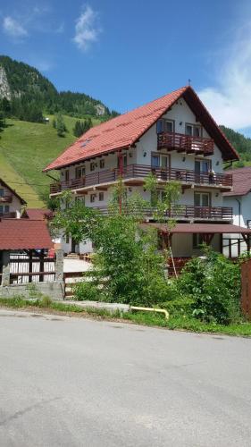 Фотография гостевого дома Pensiunea Malina