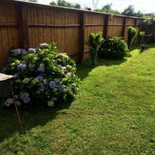 Фотографии гостевого дома
Pensiunea Bujor de Munte