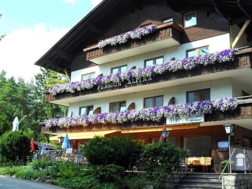 Фотография мини отеля Pension Alpina