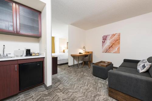 Фотография гостиницы SpringHill Suites Grand Rapids North