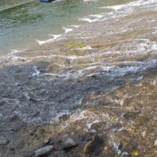 Фотография гостевого дома Bliźniakówka