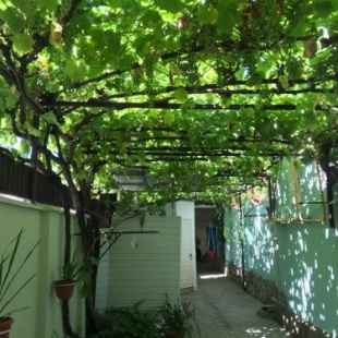 Фотография гостевого дома На Заводской 65а