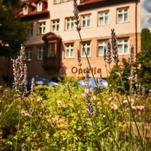 Фотографии гостиницы 
            Hotel Hauser Boutique