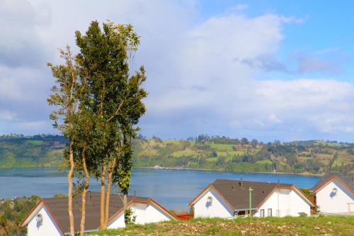 Фотография апарт отеля Terrazas de Nercon