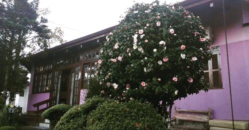 Фотография мини отеля Pousada Gardenia Guest House