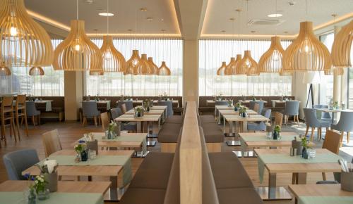 Фотография гостиницы Donau Lodge