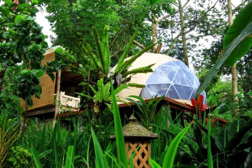 Фотография кемпинга Bali Jungle Camping