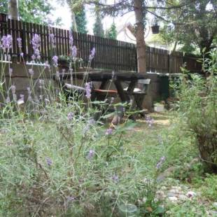 Фотографии гостевого дома 
            Guest House Vila Biljana