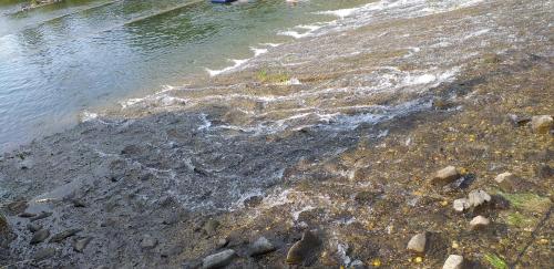 Фотография гостевого дома Bliźniakówka