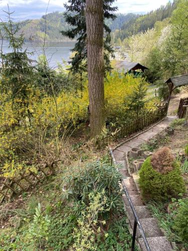 Фотография гостевого дома Wald See Glück