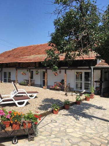 Фотография гостевого дома Sunflower Guest House Bulgaria