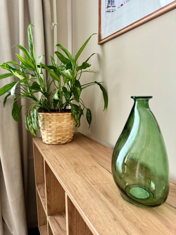 Фотография квартиры Квартира Зеленая