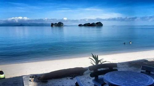 Фотография гостевого дома Langkawi Primrose Seaview