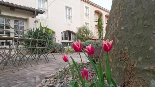 Фотография гостиницы Logis Hôtel Médiéval, Montélimar Nord