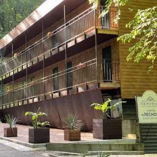 Фотография гостиницы Отель Лесной