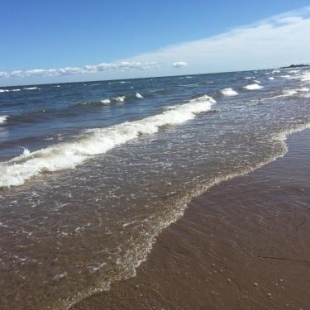 Фотография гостевого дома Seaside chalet