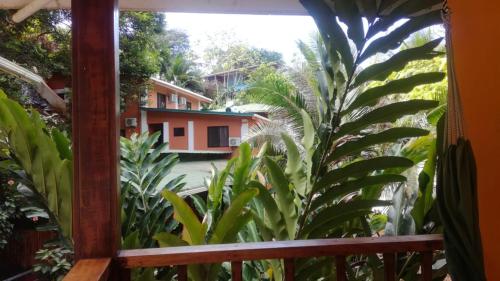 Фотографии гостиницы 
            Corcovado & Drake Inn