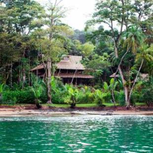 Фотография гостиницы Copa De Arbol Beach & Rainforest Resort