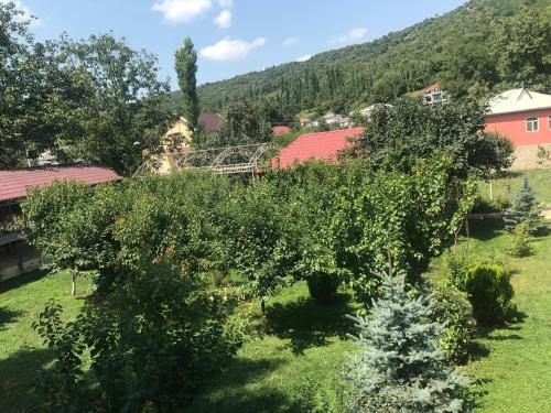 Фотографии гостиницы
Zengezur