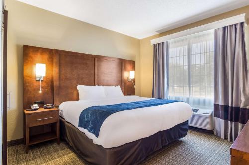 Фотография гостиницы Comfort Suites