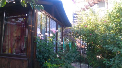 Фотография гостевого дома Южанка