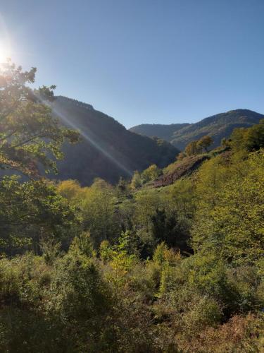 Фотографии гостевого дома
Sweet village house