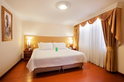 Фотография гостиницы Hotel Fernando Plaza