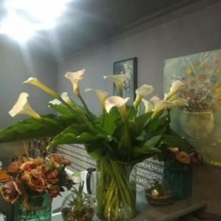 Фотография мини отеля Art Apartment Ketevan