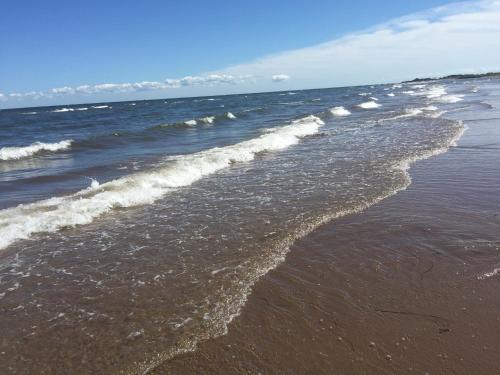 Фотография гостевого дома Seaside chalet