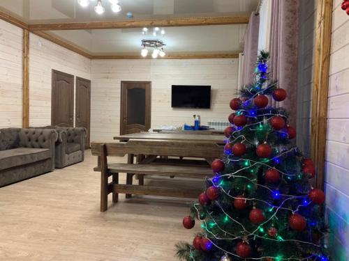 Фотографии гостевого дома
ASIYA SKY